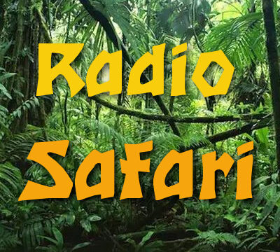 Radio safari